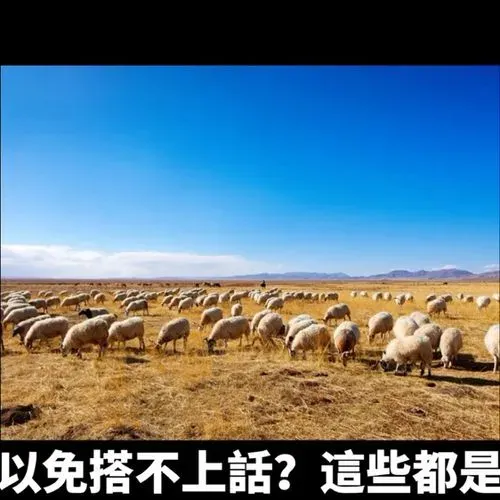 1752574274695_0d8c52e0-6d10-4bf0-b995-61feb2fab871.mp4