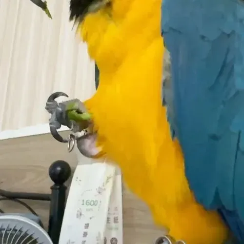 1760866573978_2b906e2a-d004-40ea-b68c-f73ab27807e6.mp4