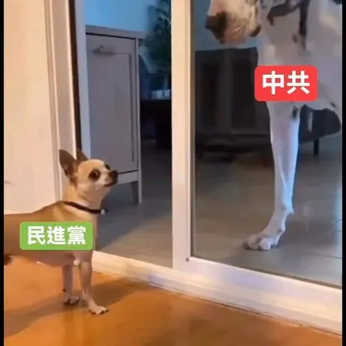 1761866085096_c5e1b620-4aea-4e7f-81df-cb0e2c3ad2a3.mp4