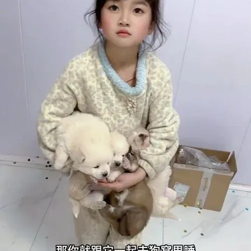 1765663335781_d4895c9c-5b48-4e02-947a-03b123e81730.mp4