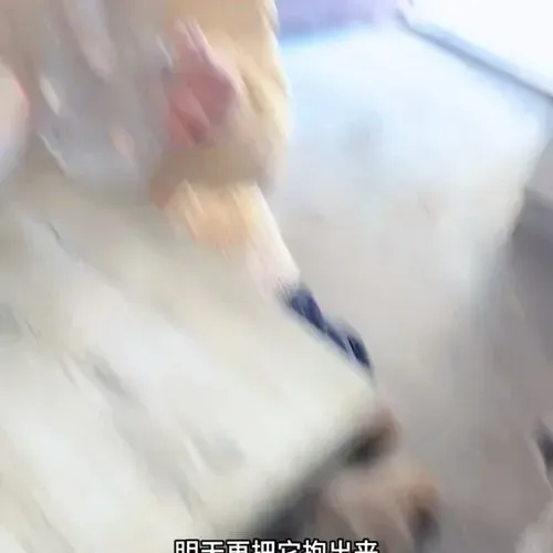 1765663339506_772a5935-9090-405e-b5bb-2196933e711c.mp4