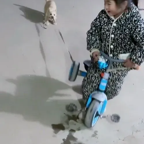 1765663340891_ccda1f1b-4df8-4e47-bbc6-e6d4ba88dd08.mp4