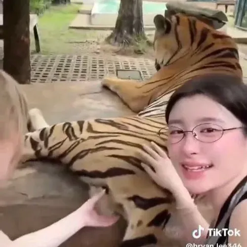 1789125958982_169f73f7-4d69-423c-ab86-247e74bde35c.mp4