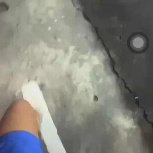 Anonymous_1761717651513_a334164e-d325-6f52-cfb8-0d656a33716d.mp4