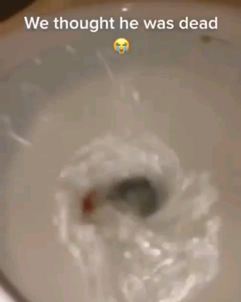 惊心动魄